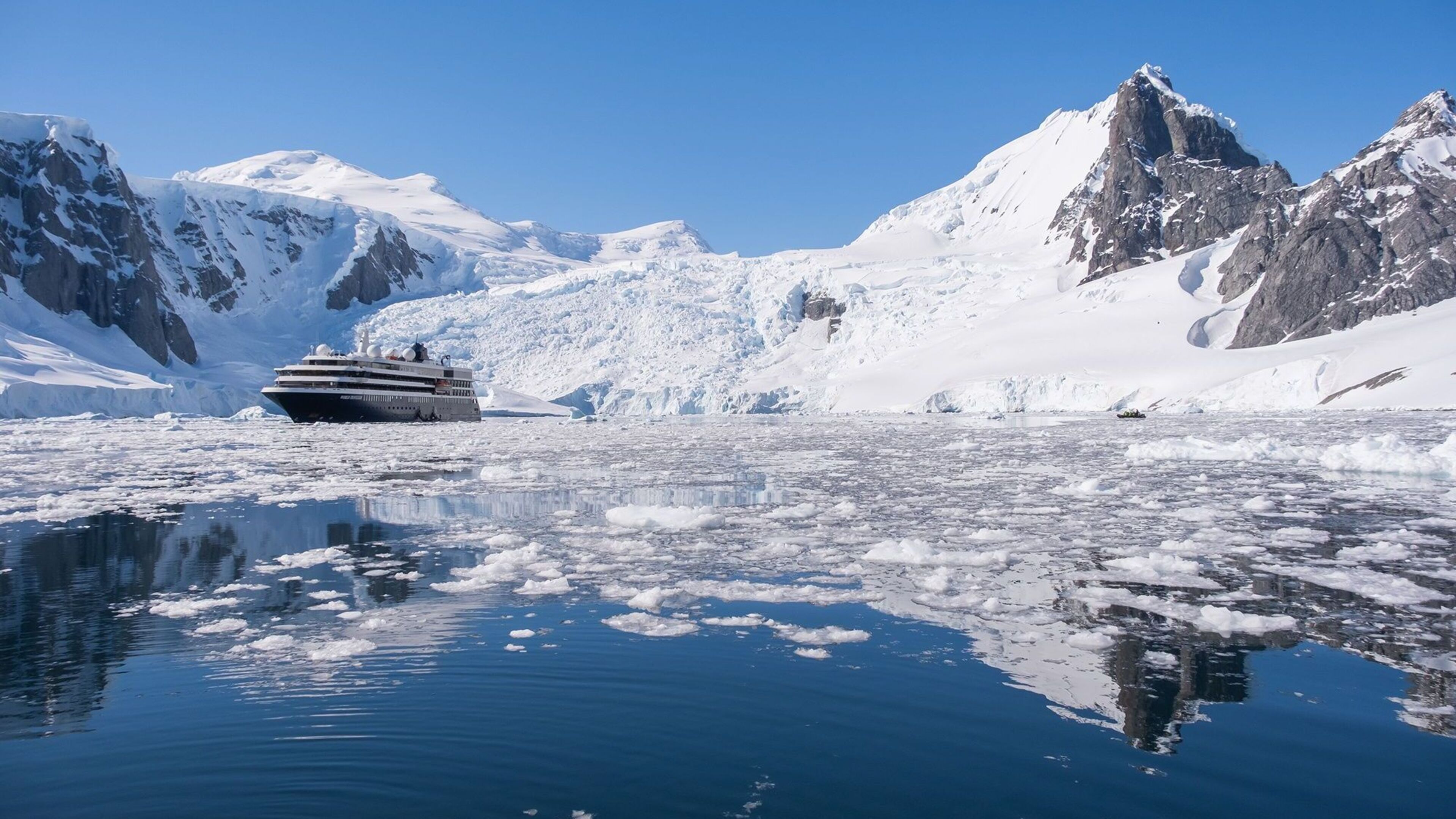 Antarctic bacterium could be key to new cancer treatment, researchers say